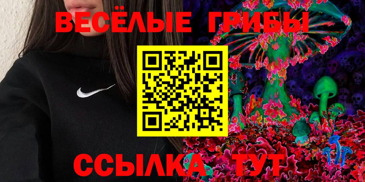 Галлюциногенные грибы GOLDEN TEACHER  Вход с VPN  Чистополь 