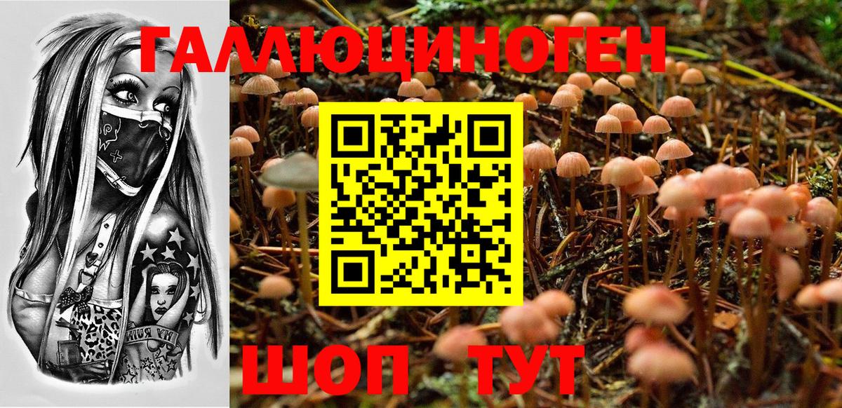 Псилоцибиновые грибы ЛСД Чистополь